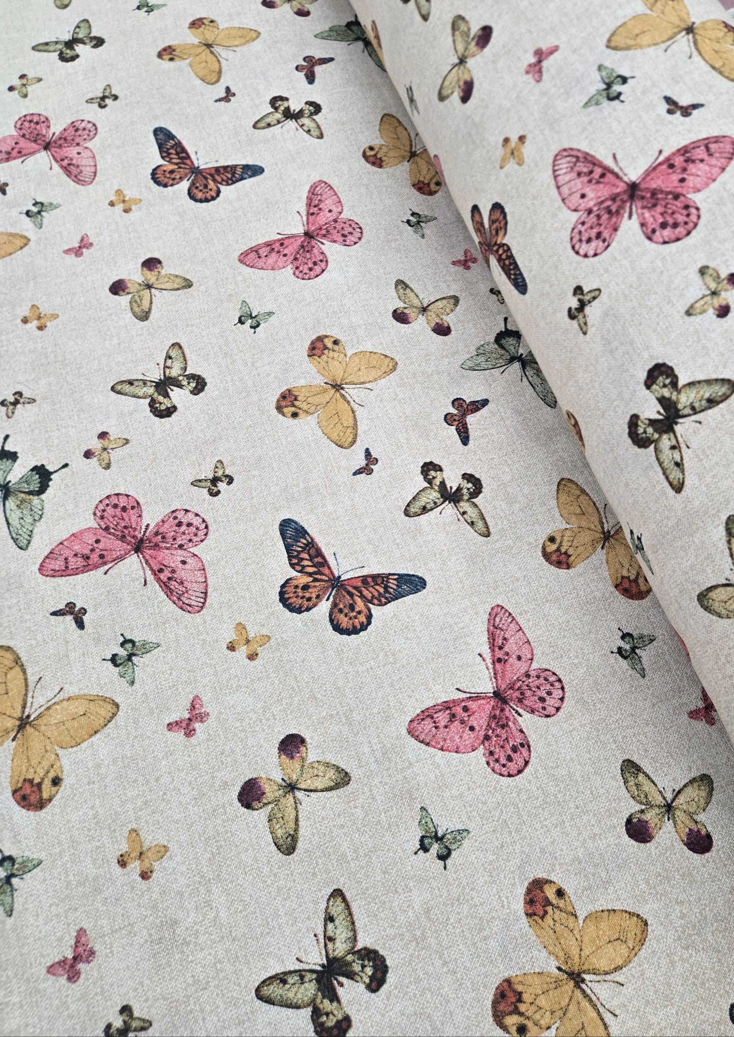 8190 Papilio